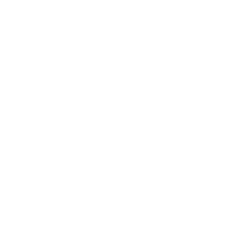 Penguin Labs Logo